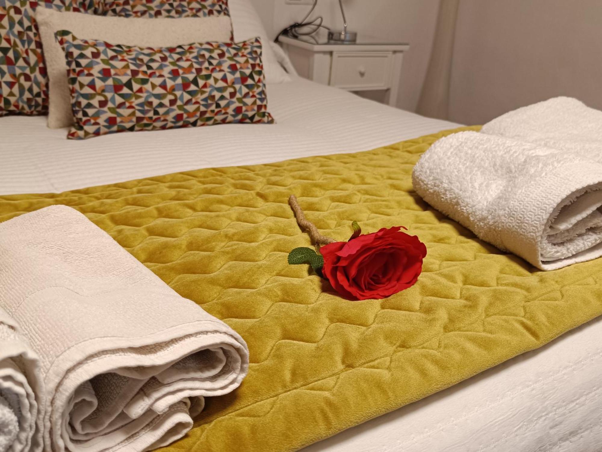 Flor De Lis 1 Διαμέρισμα Caces Εξωτερικό φωτογραφία